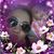 Pitufina Malbella Zpta's profile image