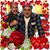 Rosa Zepeda's profile image