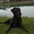 Conner Childers's profile image