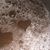 Wallingford Brewery's profile image