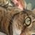 Lucy Cook's profile image