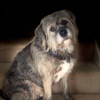 Kathy Fitzgerald's profile image