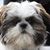 Ellen Huyberts's profile image