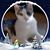 Maryann Garling's profile image