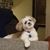 Christine Sullivan Turner's profile image