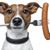 Jo Jewell's profile image