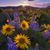 Melinda Leggett's profile image