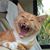Diane Munro Trevisol's profile image