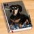 Chiko Pelaez's profile image