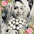 Heidi Martincic's profile image