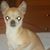 Shane Sharbono's profile image