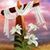 Rachael Walkins's profile image