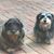 Ann Lafferty Heatherly's profile image