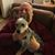 Kevin C. Swier's profile image