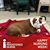 Shari Colangelo's profile image