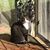 Sarah Dailey's profile image
