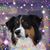 Lisa Schmiedl's profile image