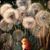 Karen Dixon's profile image