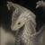 Jason Stahl's profile image