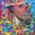 Noel Leon's profile image