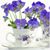 Tammy Dunmeyer Warfield's profile image