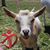Kimberly Hayes O'Dell's profile image