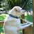 John Caputo's profile image