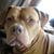 Tim Eberhard's profile image