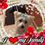 Shirley Lowry's profile image