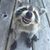 Diane Hull's profile image