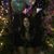 Jenn Valles's profile image