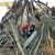 Alicia Marie Pelkofer's profile image