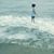 Patricia Martin's profile image