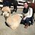 Marianna Nash's profile image