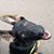 Nancy Dement's profile image