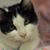 Genna Gayon's profile image