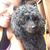 Veronica Sterling Goldsberry's profile image