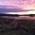 Glenda Michaud's profile image