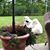 Diane Bessette's profile image