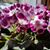 Darlene Warne's profile image