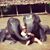 Nicole Bulla's profile image