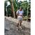 Mando C Reyes's profile image