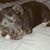Lynn LaBier's profile image