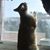 Letha Mclawhorn's profile image