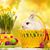 Kim Bozorth Brening's profile image