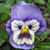Zia Saunders's profile image