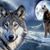 Keith Haddock's profile image