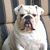 Martha Whitton's profile image