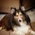 Debra Jones's profile image