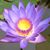 Peter Marritt's profile image